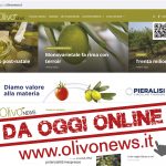 da oggi online